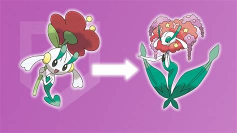 how to evolve floette in pokémon x|Floette Pokédex .